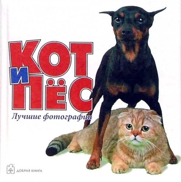 Кот и пес фильм