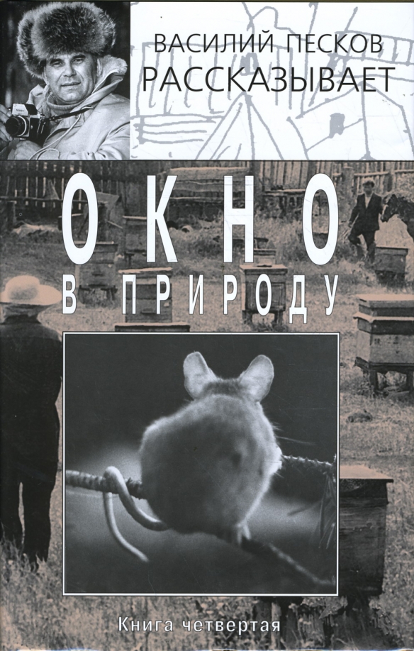 Песков воронеж. Очерки василия пескова. Очерки василия пескова. Очерки василия пескова. Очерки василия пескова.