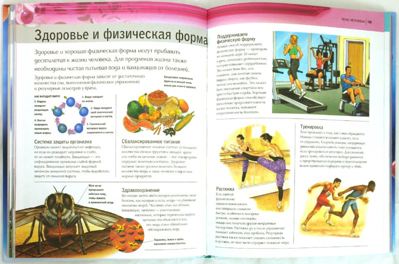 Купить Детская книга 