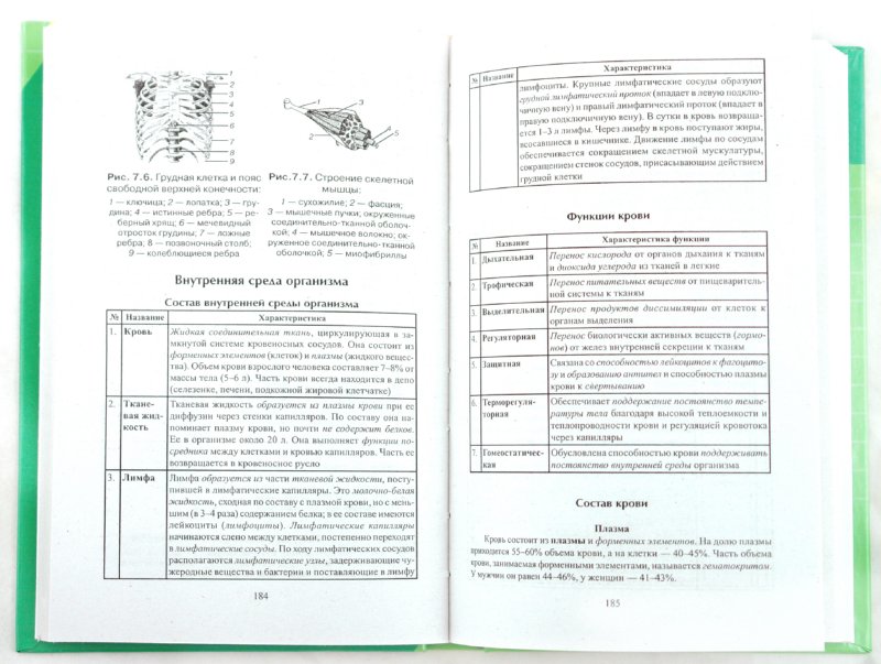 Резанова Биология Человека В Таблицах Купить