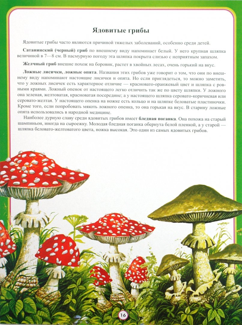 Плакат осторожно ядовитые грибы
