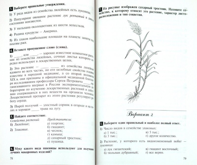 Тест по биологии 5 класс голосеменные растения. Тест по теме покрытосеменные. Задания по окружающему миру. Контрольная работа многообразие растений вариант 1 ответы. Многообразие растений контрольная работ.