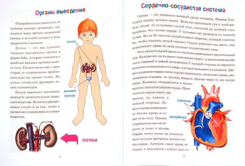 Куда пойти учиться на стоматолога и как переквалифицироваться