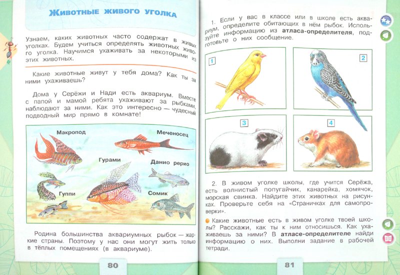 Запиши план сообщения: найдено 88 изображений