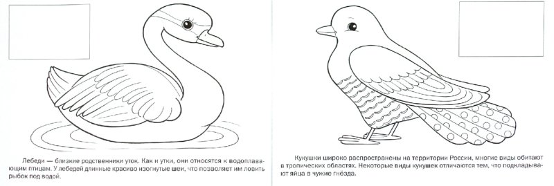 Раскраска-Мои первые уроки А5 4л. Хатбер 