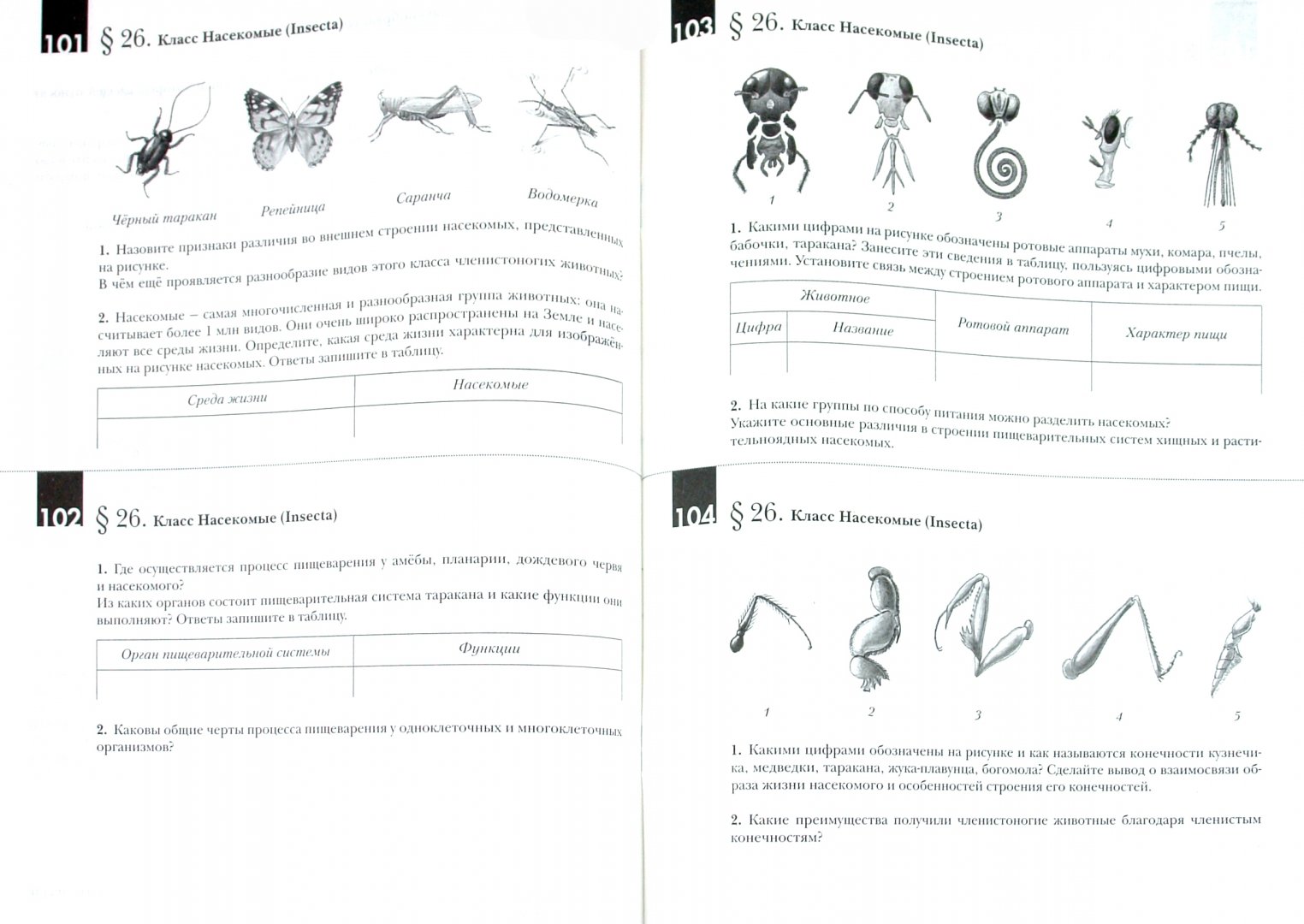 Задания по биологии 7 класс с ответами. Контрольная 7 класс биология. Биология 7 класс контрольные работы с ответами. Кр по биологии 7 класс 1 четверть животные. Задания по биологии.