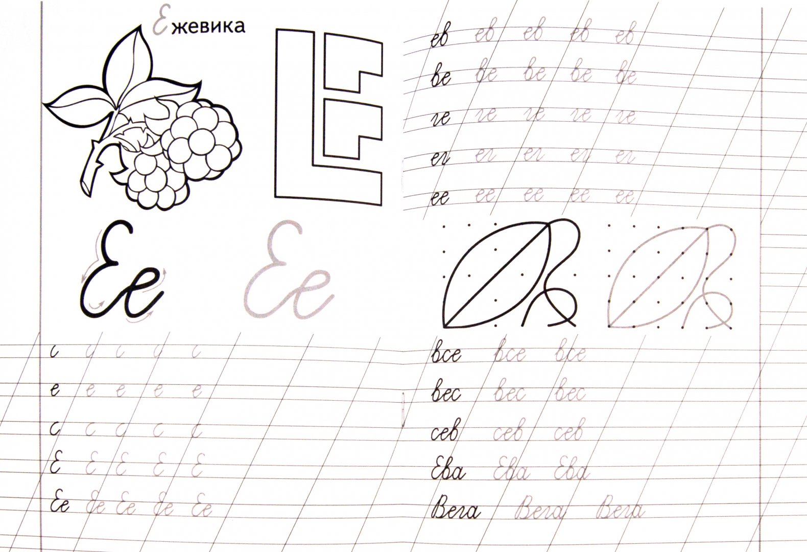 Письмо прописной буквы е. Буква е письмо слов с буквой. Написание буквы ё 1 класс. Буква е письмо слов с буквой. Буква е письмо слов с буквой.