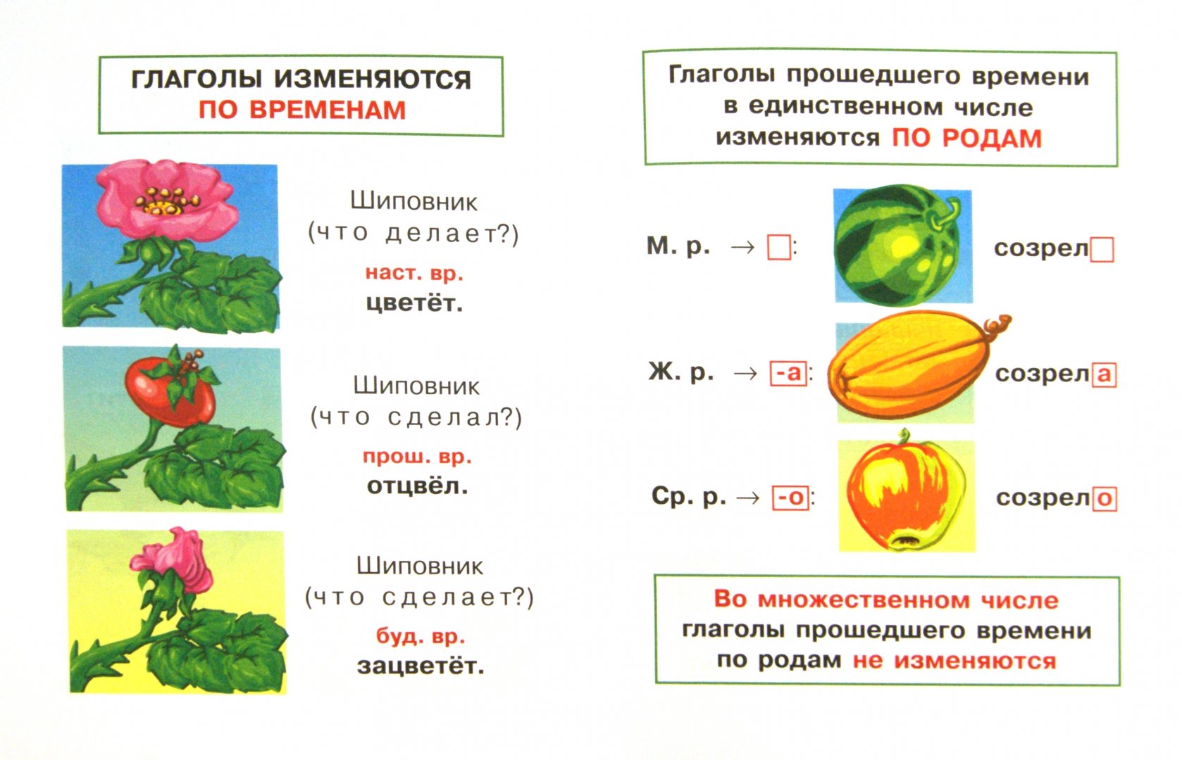 Про глаголы 3 класс. Глагол памятка. Упражнение 2 класс глаголы русский. Изменение глаголов по числам 3 класс задания. Про глаголы 3 класс.