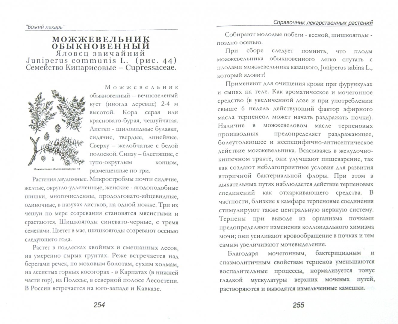 Купить Книгу Божий Дар