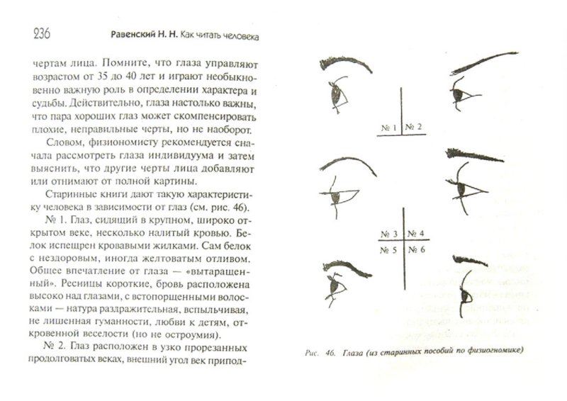 1. Лидер, или доминирующий (д)