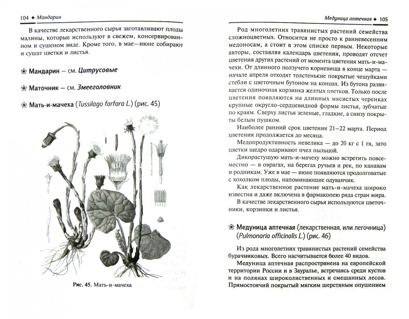 Читать книгу о растениях