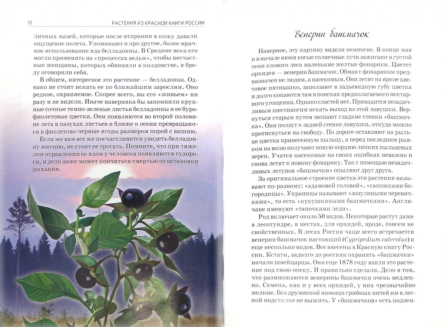 Читать книгу о растениях