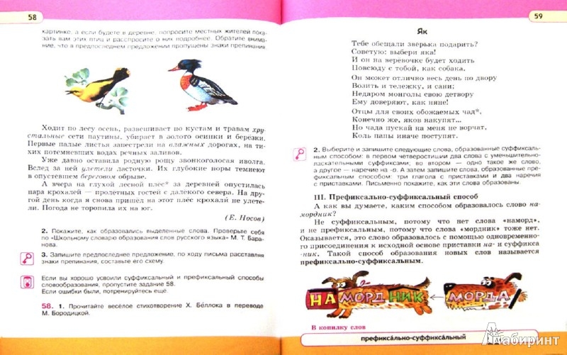 16 советов, как написать изложение по русскому языку без ошибок | Адукар