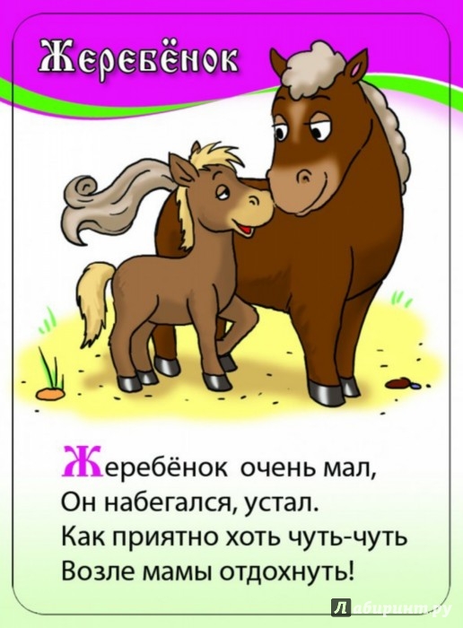 Шуточные стихи о сексе, эротические приколы- Самое свежее- Стр. 31