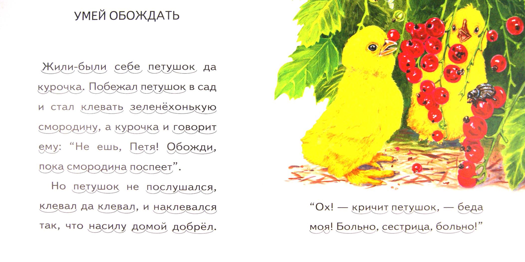 Cказки к. Ушинский умей обождать иллюстрации. Ушинского "умей обождать". Д. Ушинский умей обождать иллюстрации.