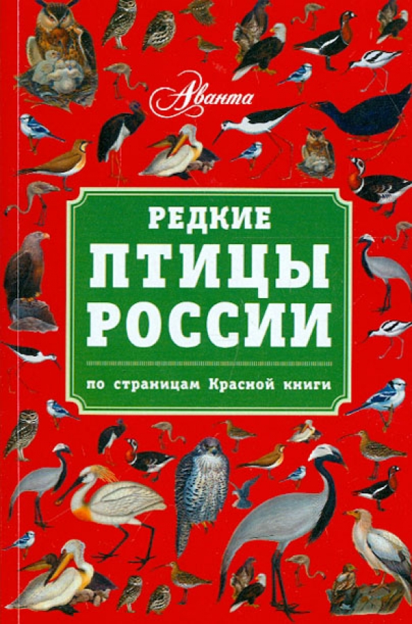 Птицы которые в красную книгу. Птицы занесенные в красную. Птицы занесенные в красную. Птицы красной книги. Птицы красной книги.