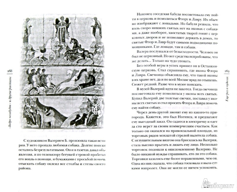 Ведро незабудок и другие рассказы. Ведро незабудок и другие рассказы