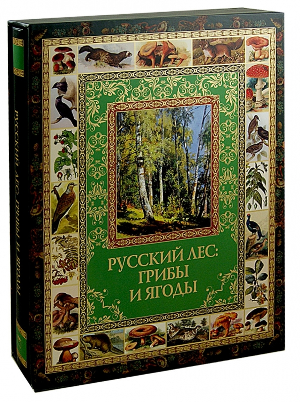 Лабиринт Интернет Магазин Книги Советские Учебники Купить