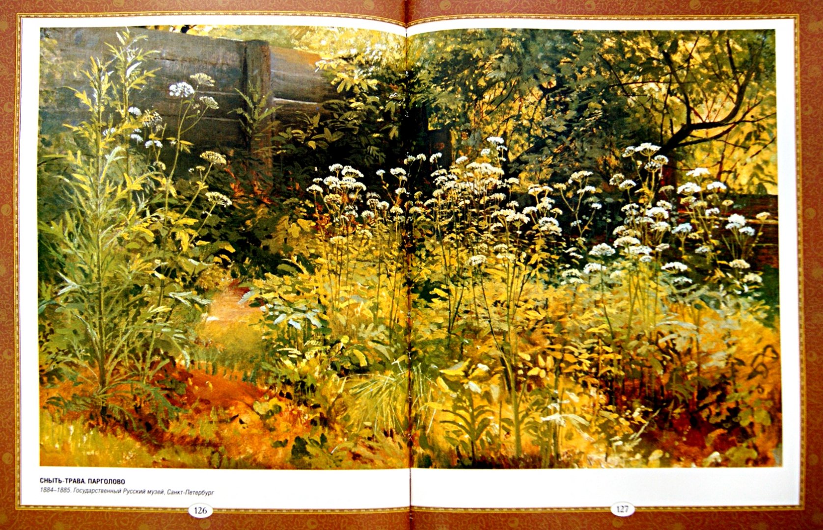 Шишкин Белый Город Купить Книгу