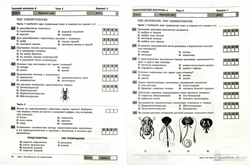 Тесты по биологии 5 класс пасечник. Тесты по биологии фгос 5 класс к учебнику пасечника. 6 класс пасечник в. Проверочные работы по биологии 8 класс с ответами. Пасечник.