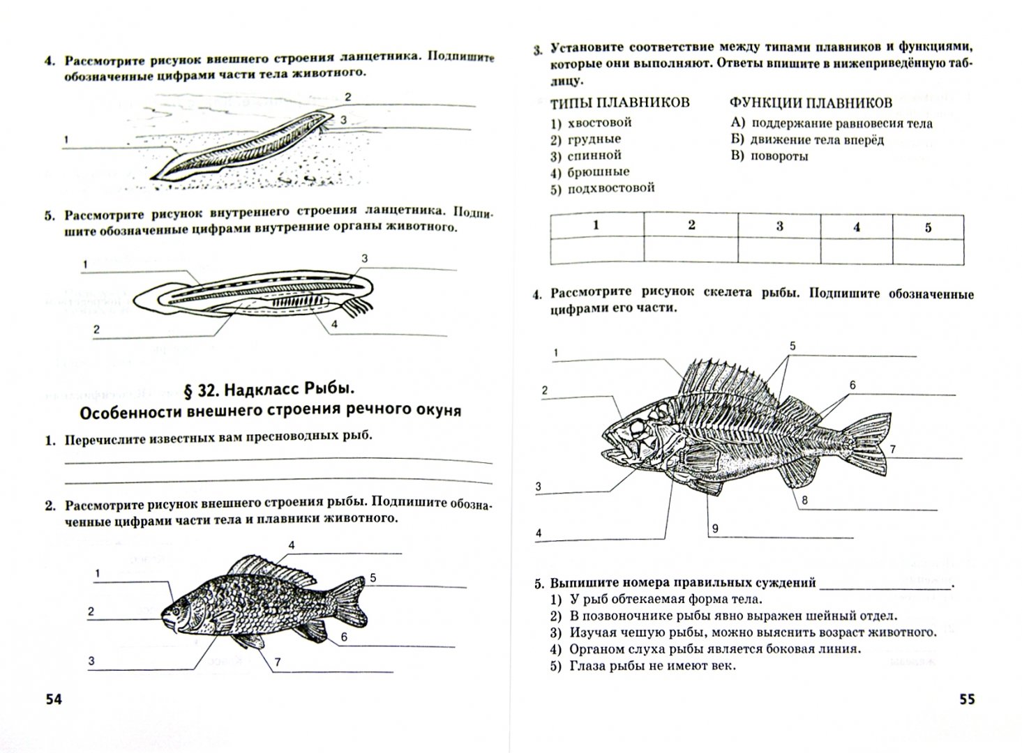 Тесты по биологии классы рыб. Биология тесты 8 класс гекалюк. Биология 7 класс тесты с ответами. Проверочная работа по биологии классы рыб 7 класс. Тест класс рыбы 7 класс биология.