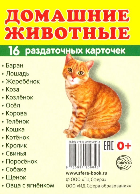 Алгоритм домашние животные. Карточки &quot;домашние животные&quot;. раздаточные карточки. домашние животные. обучающие карточки.