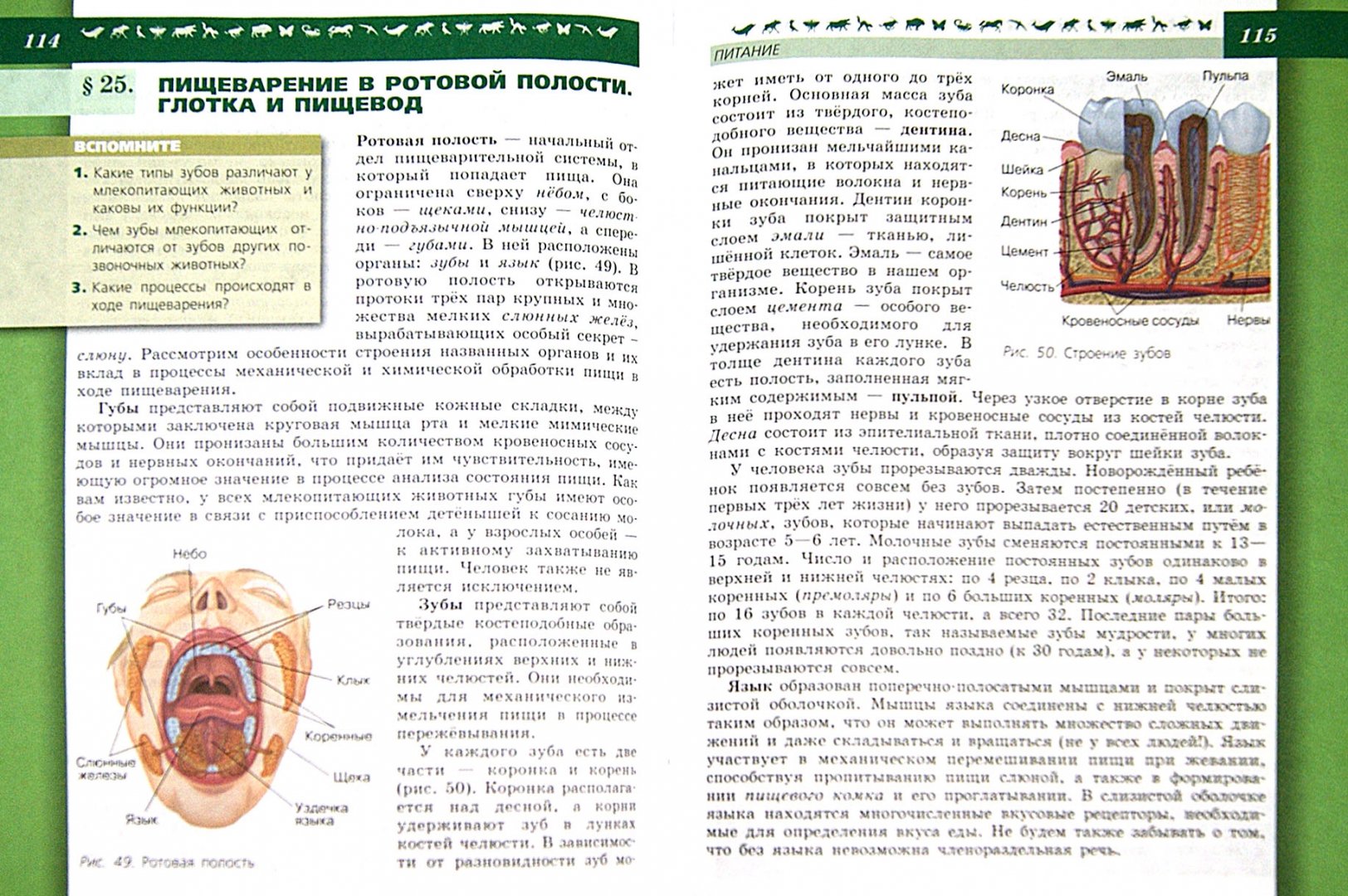 Учебник Пасечник 5 6 Класс Купить