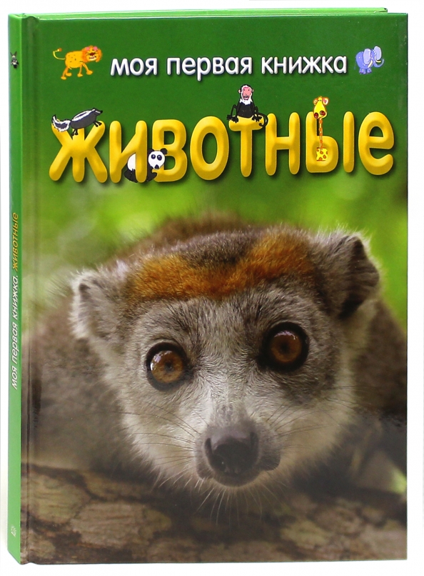 Ди Филипс