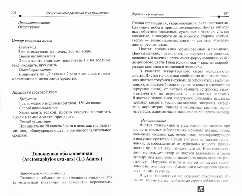 Основные действующие компоненты в составе корейской косметики | Блог о корейской косметике