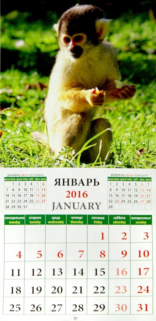 Жетон "Год обезьяны" (в открытке) 2016 СПМД. Россия. Лот № 2347. Аукцион № 123.