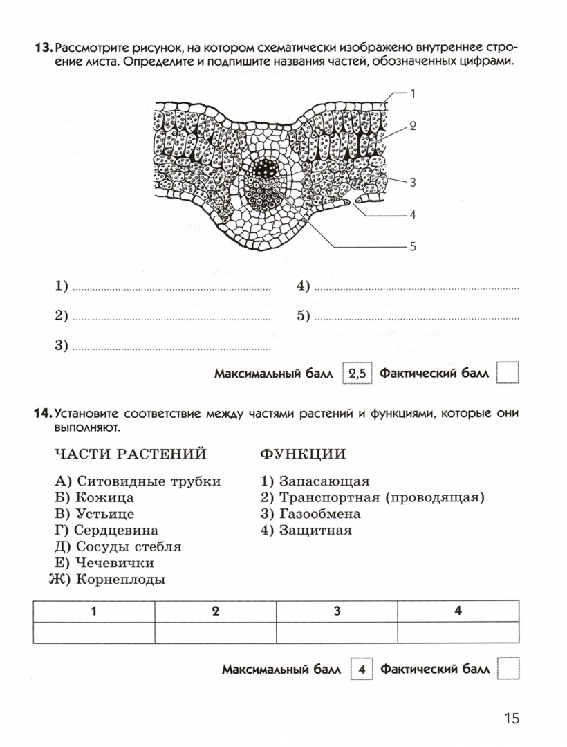 Биология 6 класс распечатать