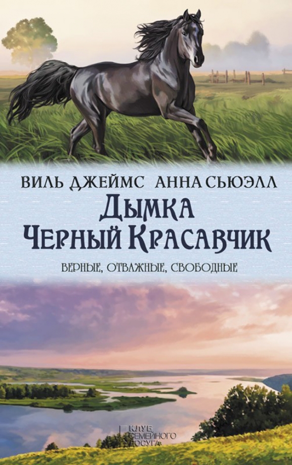 Книга Дымка Конь Ковбоя Купить В Спб