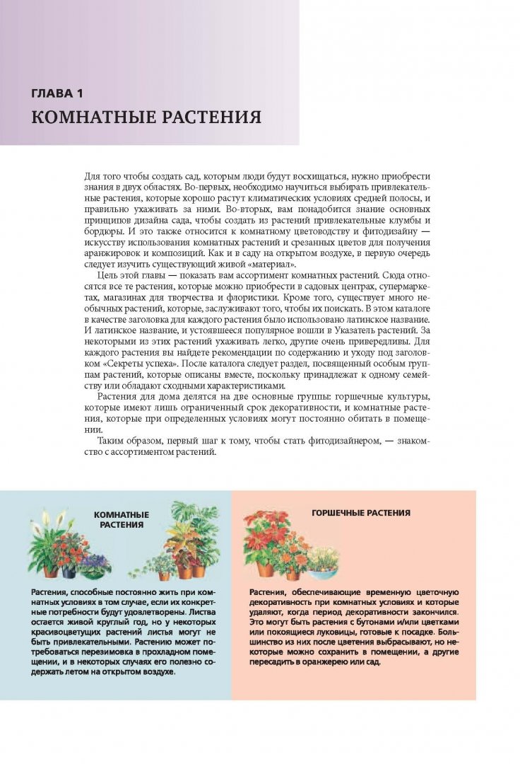 Самая нужная книга о комнатных растениях фото 38