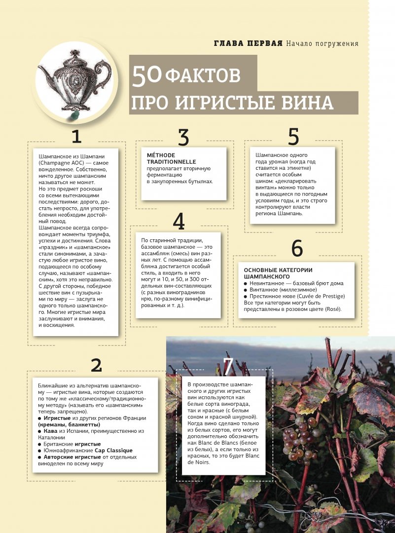 Краткий пересказ книги наша вина. Шампань и другие игристые вина книга. Шампань и другие игристые вина. Вина Испании книга.