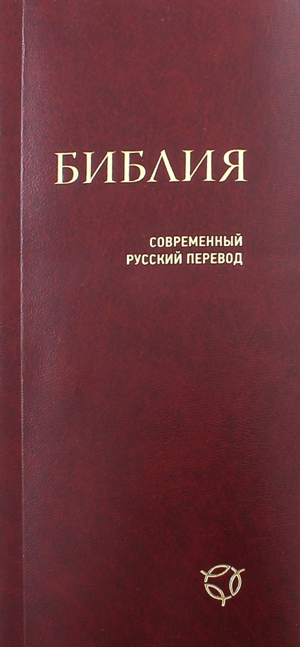 Библия на современном языке читать. Библия современный русский перевод. современные переводы библии на русский язык. подстрочник библии.