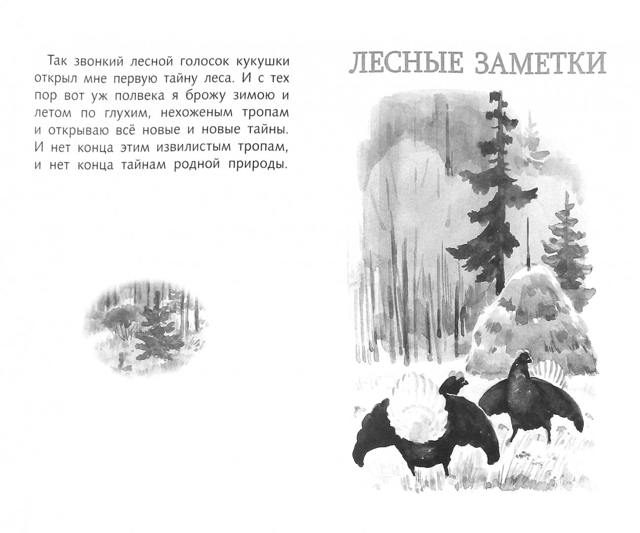 Лесное эхо ютуб канал