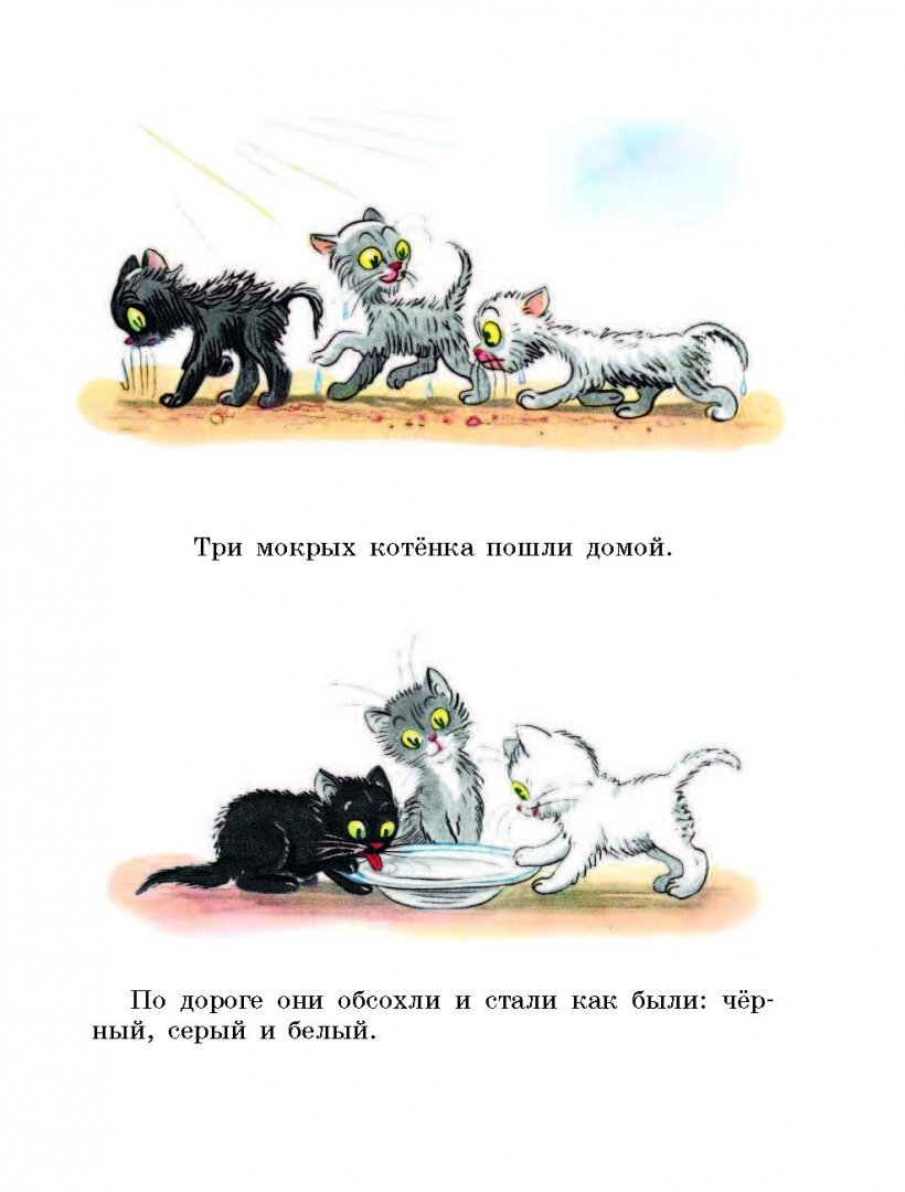 Сутеев истории в картинках