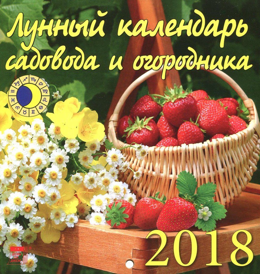 Рамуляриоз или белая пятнистость