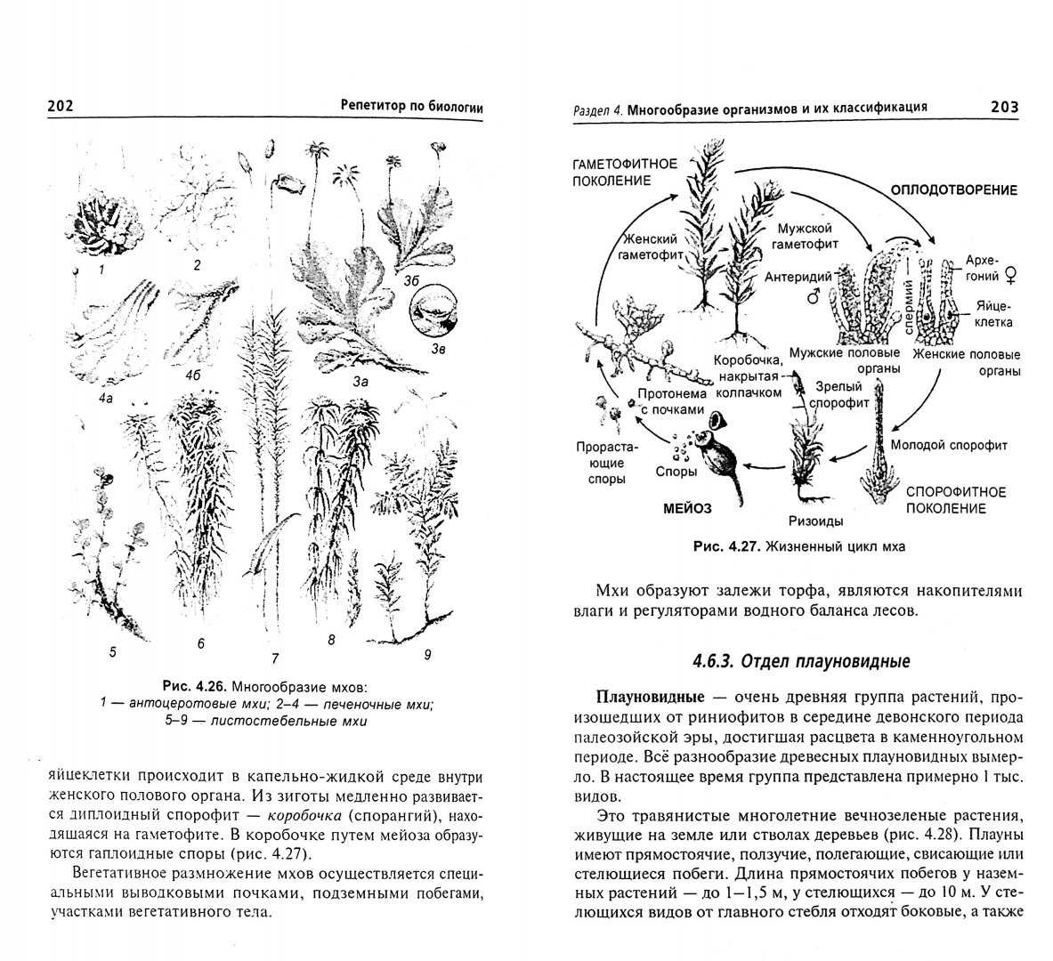 Биология таблицы и схемы егэ. Схемы и таблицы по биологии для подготовки к ОГЭ. Схемы ЕГЭ биология. Рисунки ЕГЭ по биологии. Биология (ЕГЭ)