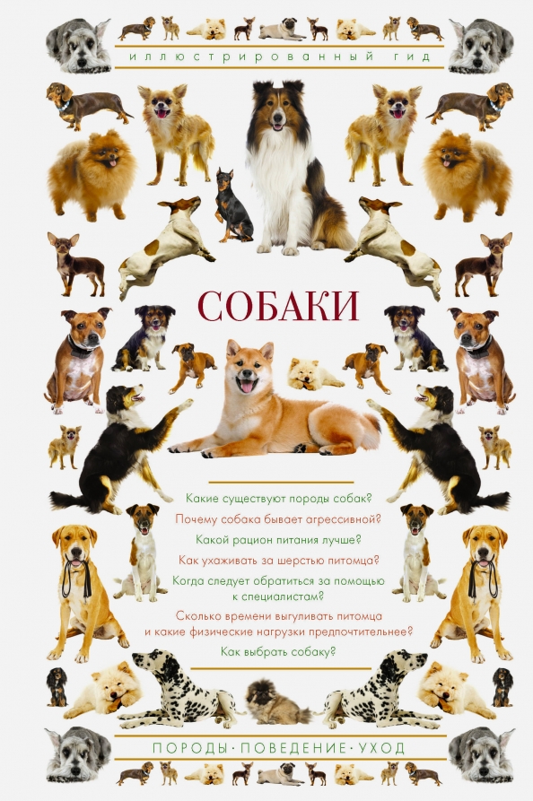 Энциклопедия пород собак с фотографиями Книга: "Собаки. Иллюстрированный гид" - Ирина Барановская. Купить книгу, читать 