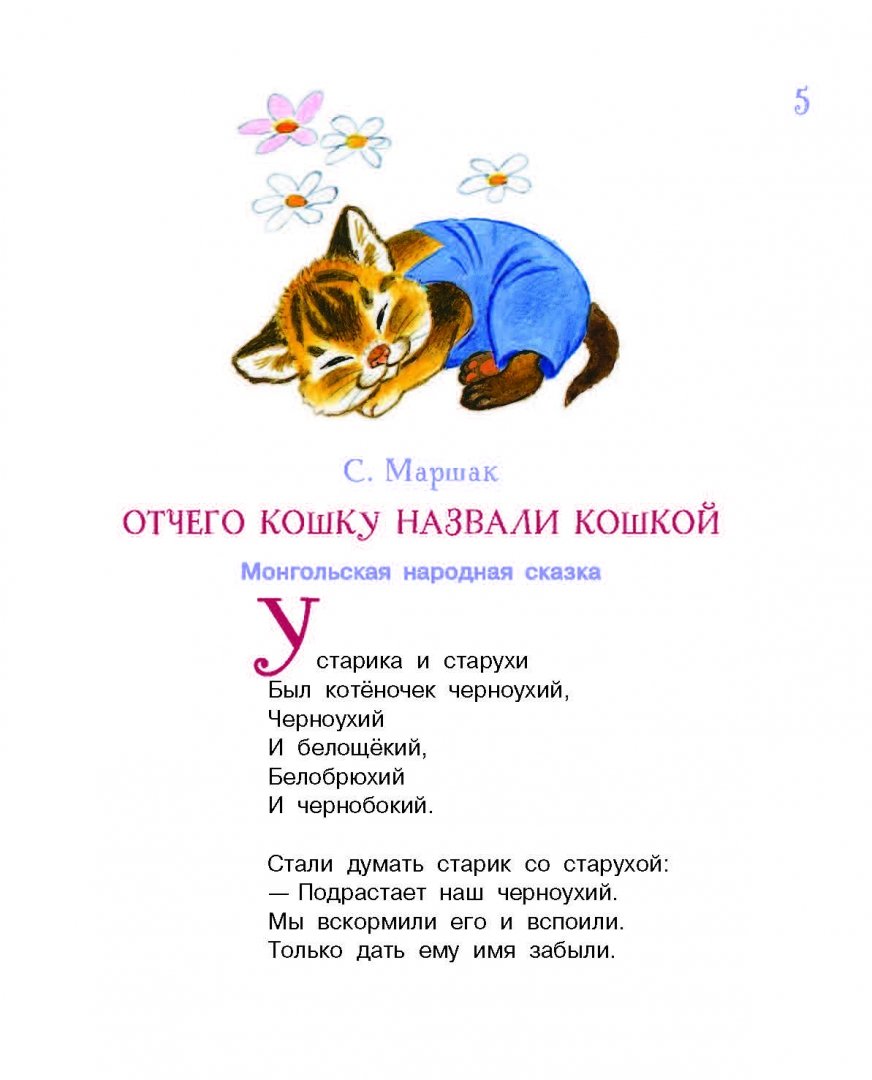 Сказка для детей про котика
47
