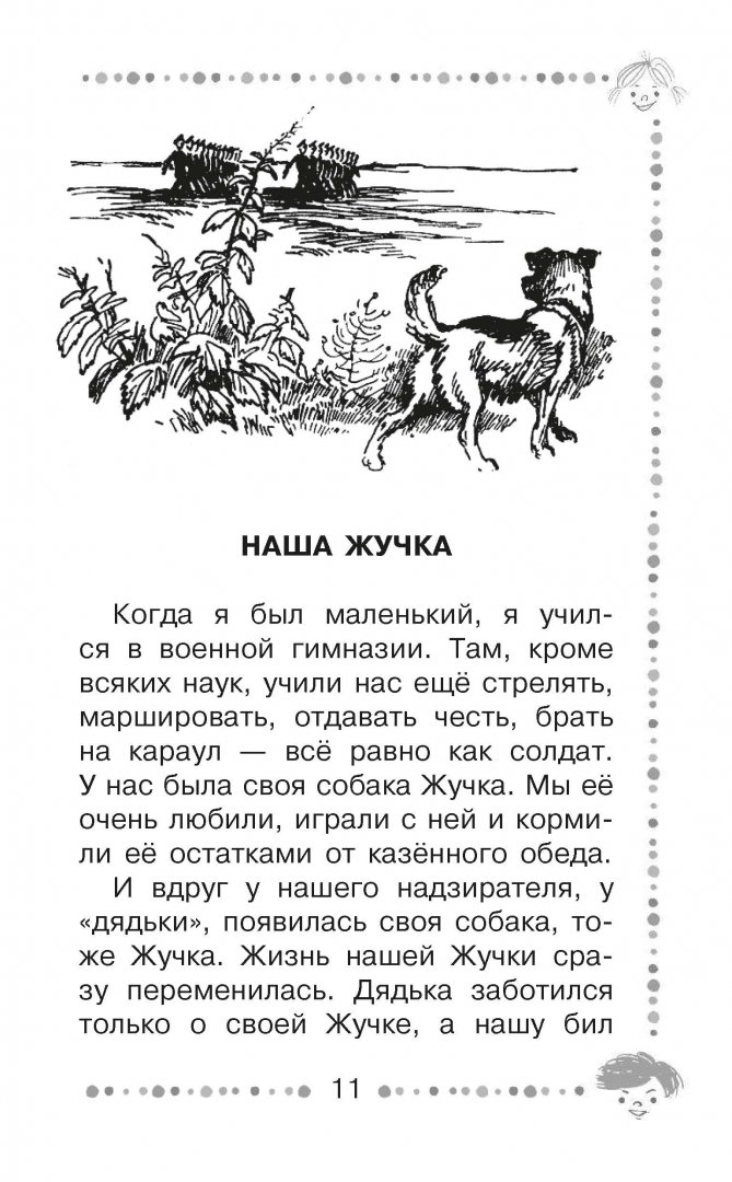 Толстой жучка