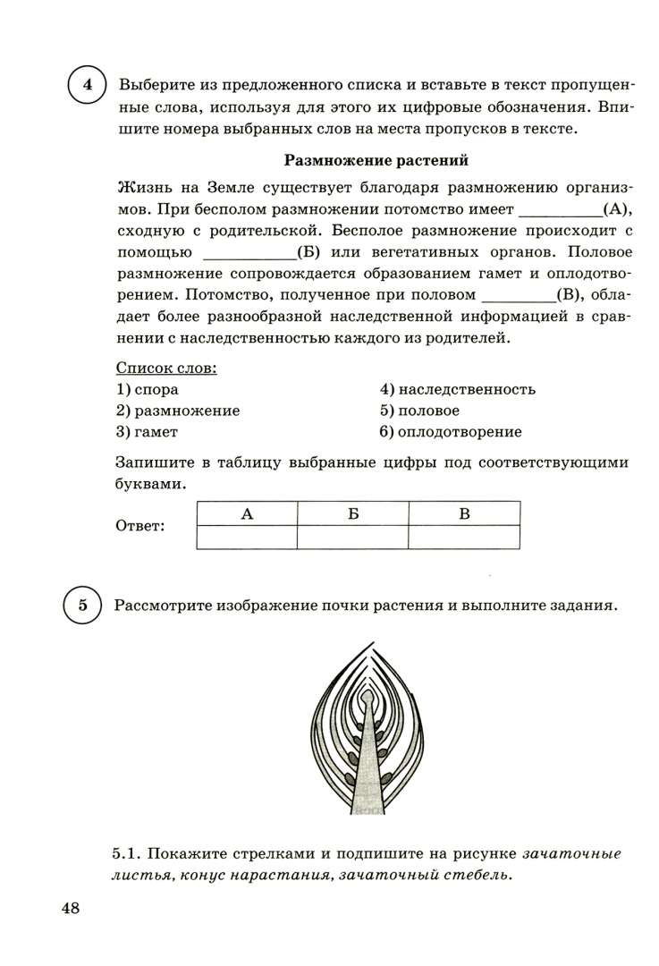 Впр по биологии 6 класс 2025 распечатать
