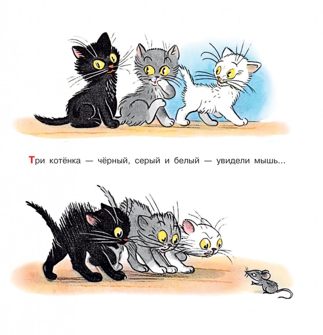 Сказка про котиков