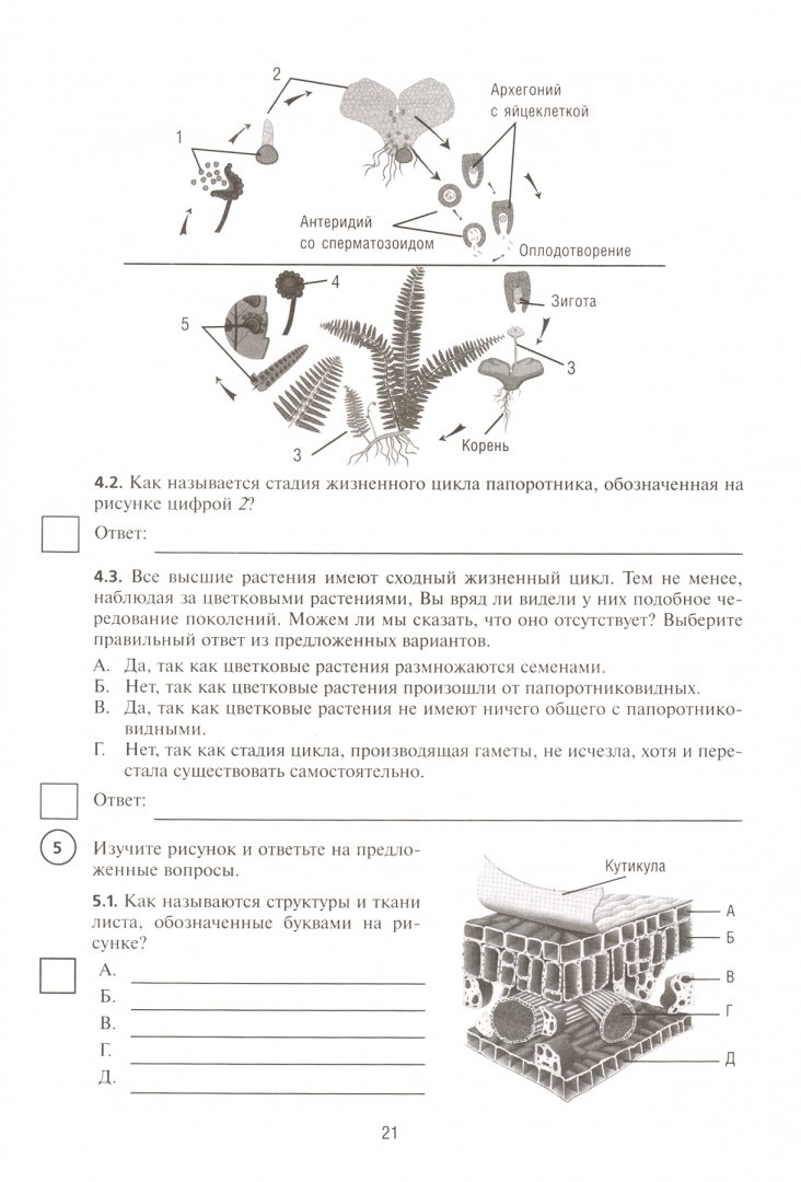 Как называется данный процесс впр биология. Размножение растений 6 класс впр по биологии. впр биология 6 класс. впр биология 6 класс вариант 1 с ответами. справочник для подготовки к впр по биологии 6 класс.