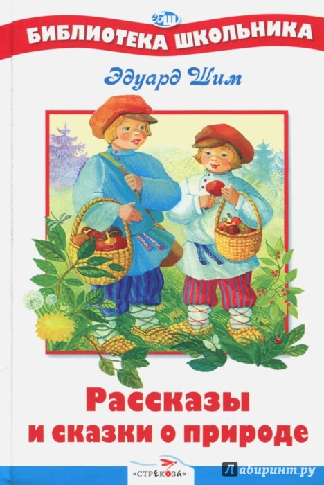 Британская высшая школа дизайна (БВШД) – Британская высшая школа дизайна