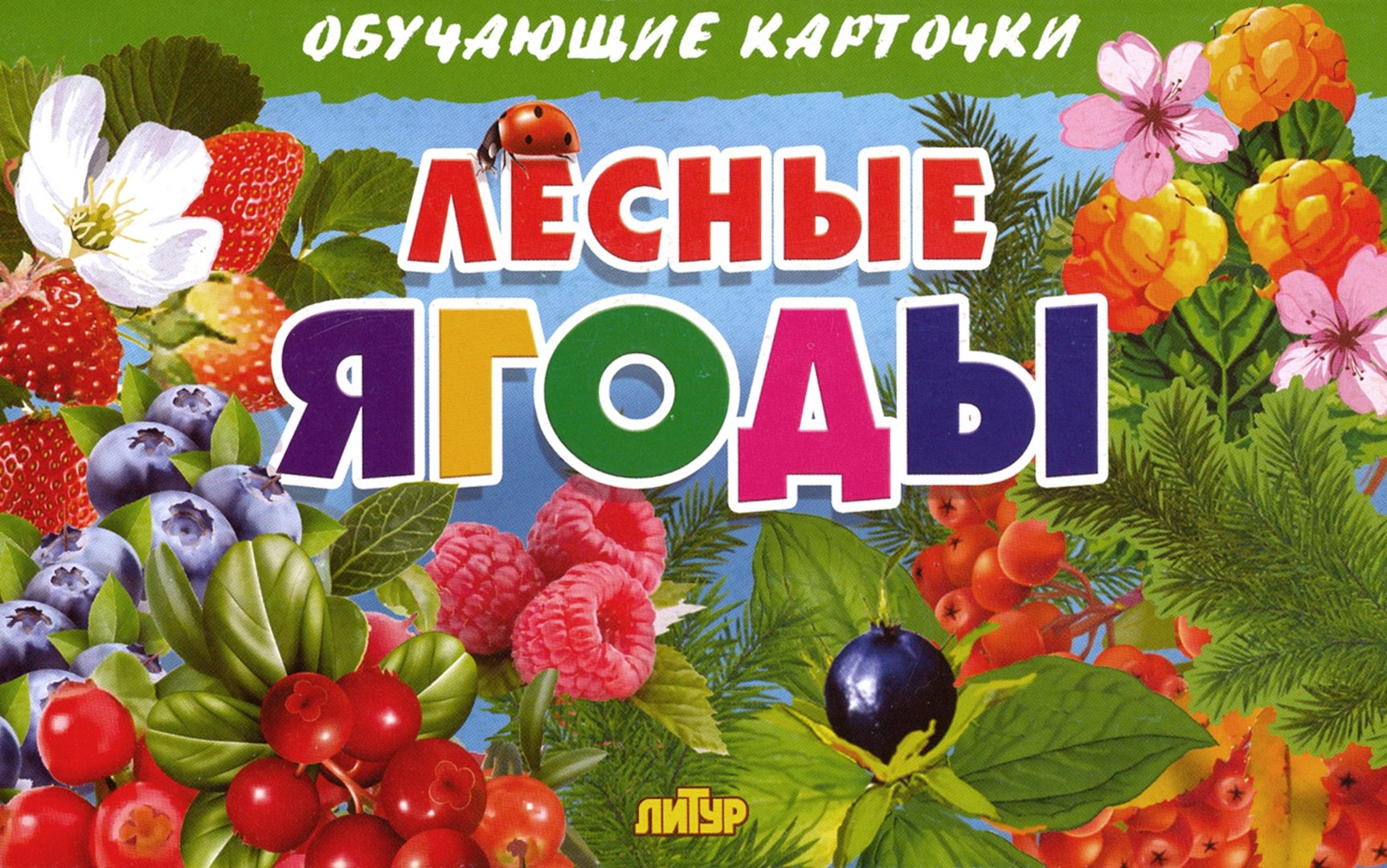 Игра лесовик и лесные ягоды. Ягоды. У медведя во бору для детей. Игра лесовик и лесные ягоды. Тема ягоды для детей.