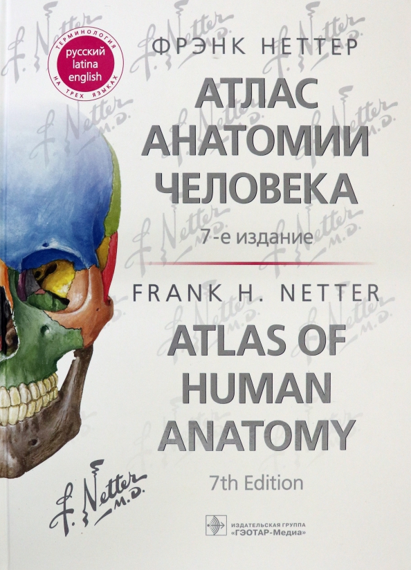 Фрэнк неттер атлас анатомии человека 7 издание. Атлас по анатомии фрэнка неттера 7 издание. атлас анатомии человека фрэнк неттер 4 издание. атлас_анатомии_человека,фрэнк_неттер 6 ozon. атлас по анатомии неттер 6 издание.