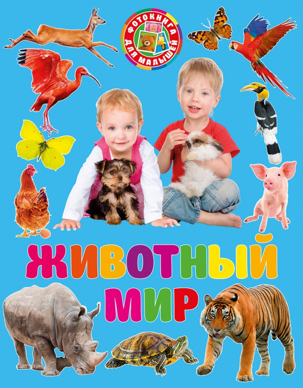 Мир животных для детей 3 лет. Фотокнига для малышей животный мир. домашние животные. фотокнига для самых маленьких.. литература фотокнига.