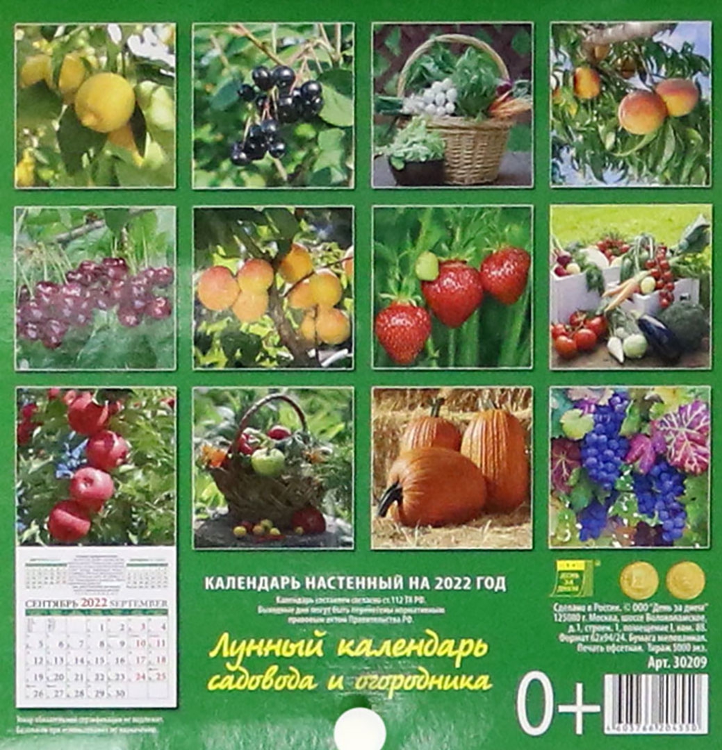 Борис и Глеб